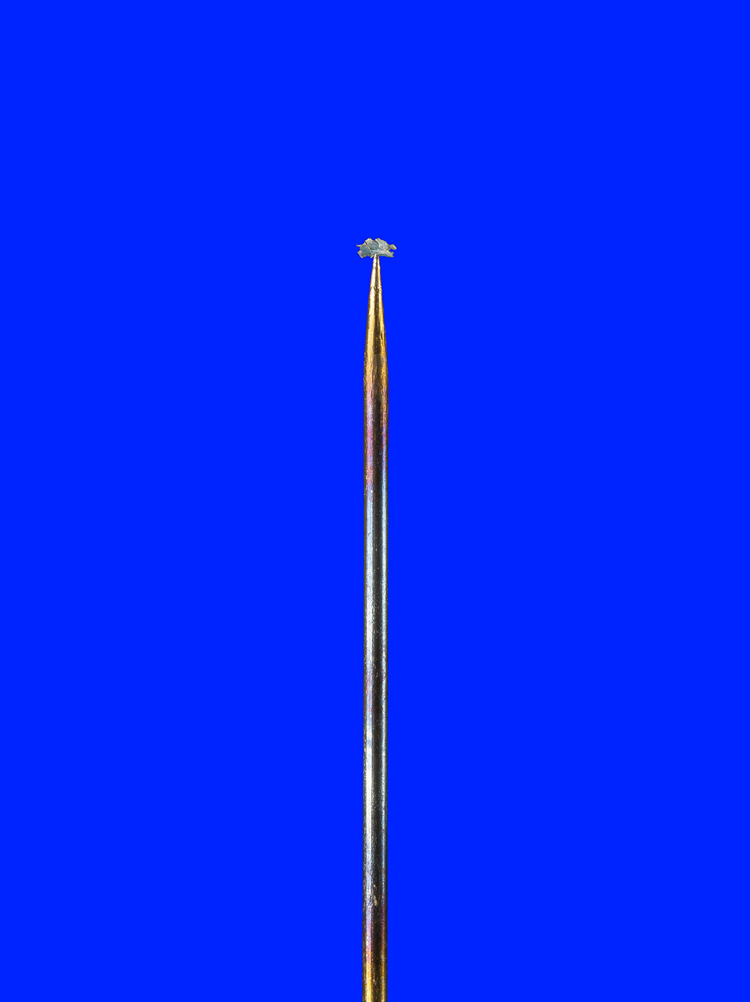 PTXD7255_LR